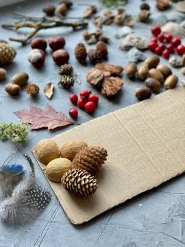 Step by step, making a children's sensory game from natural material. Stock Photos