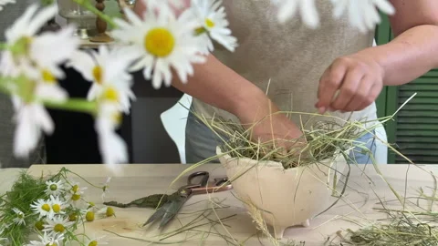 Step-by-step mini workshop: arranging a chamomile bouquet in a ceramic vase usin Stock Footage 313077391