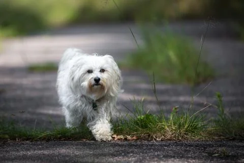 Step by Step Stock Photos