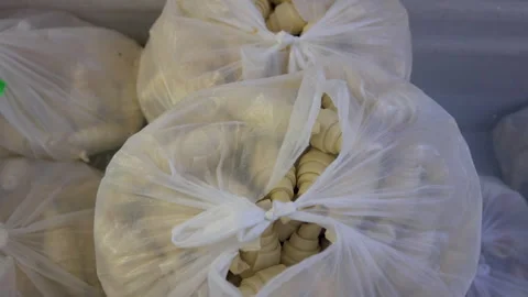 Step by step process of croissant preparation.frozen croissants Stock Footage 274124965