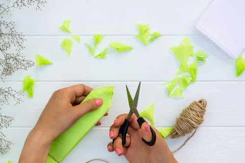 Step by step tutorial on making a light green fluffy pom-pom from tissue pape Foto stock