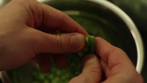 Step by step tutorial of opening fresh green pea pod Stock Footage 338395372