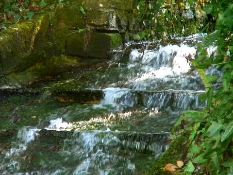 Step Stream Falls Stock Footage 489838