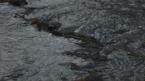 Step in a Stream Video stock 44265177