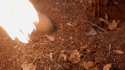 Step on the torch Stock Footage 235269289