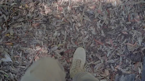 Step on tracking Stock Footage 148221596