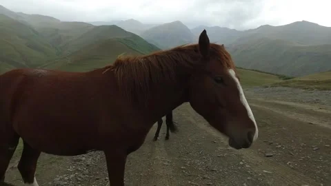 Stepantsminda, Georgia Stock Footage 205062506