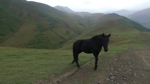 Stepantsminda, Georgia Stock Footage 205062508