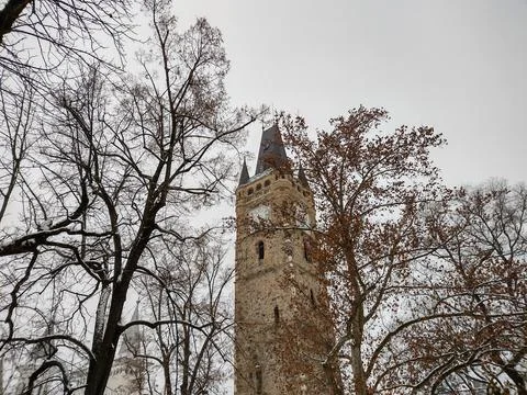 Stephen tower behind the trees - Baia Mare city Fotos Stock