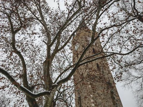 Stephen tower behind the trees - Baia Mare city 写真素材