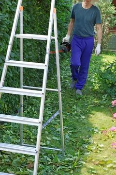 Stepladder for hedge trimming. Young man with brush cutter. Tools for work in Stock Photos