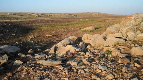 Steppe and stones. Video stock 139025709