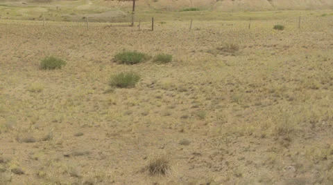 STEPPE CU 1 Video stock 22624302
