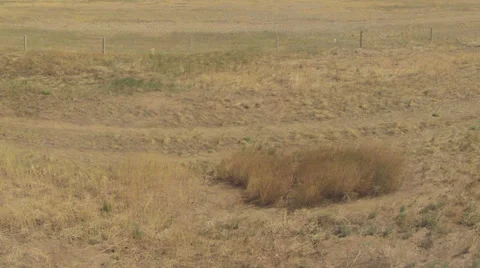 STEPPE CU 2 Video stock 22624212