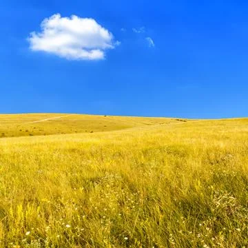 Steppe with dry grass Stock Photos