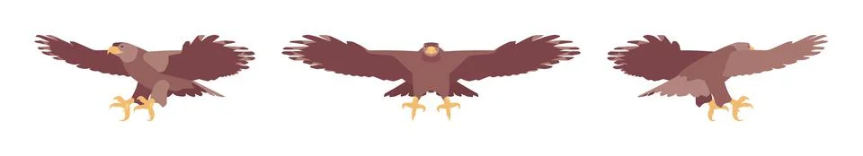 Steppe eagle set, large powerful bird, massive wings in flight Stock Illustration