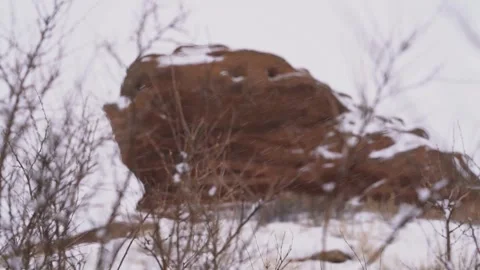 Steppe grass close-up in winter against a mountain background Stock Footage 240901399