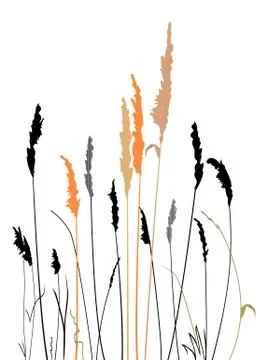 Steppe grass at sunset Stock Illustration