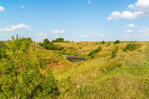 Steppe landscape with drying pond Stock Photos
