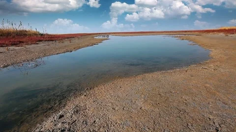Steppe landscape Video stock 8761215