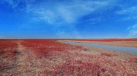Steppe landscape Stock Footage 8761298