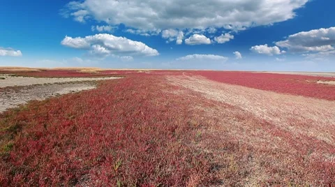 Steppe landscape Stock Footage 8761409