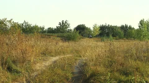 Steppe landscape Stock Footage 10559446