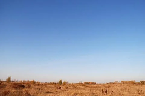 Steppe landscape Stock Photos