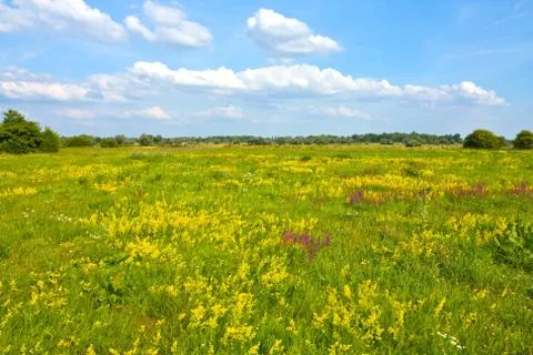 Steppe landscape Stock Photos