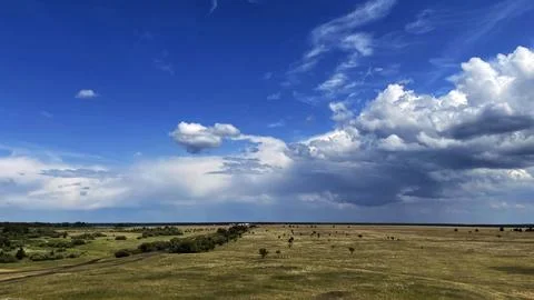 Steppe landscape Stock Photos