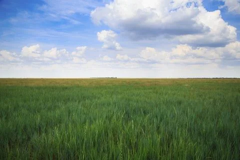 Steppe Landscape Photos