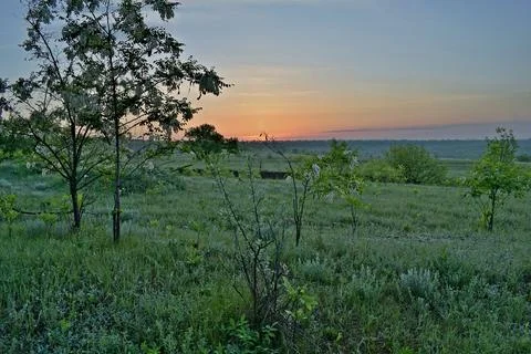 Steppe in the spring during sunrise. 스톡 사진