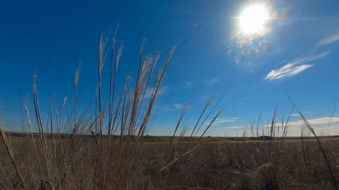 Steppe on a sunny day Stock Footage 97394802