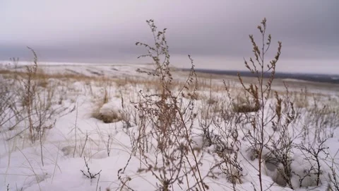 Steppe in winter during a blizzard Stock Footage 240835208