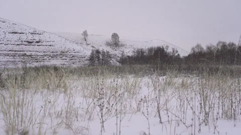Steppe in winter during a blizzard Stock Footage 240900996