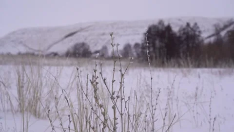 Steppe in winter during a blizzard Stock Footage 240901208