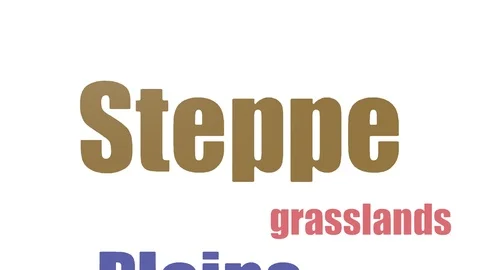 Steppe Wordcloud Animated Isolated Stock Footage 107220134