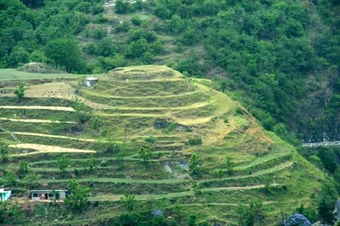 Stepped Hill Stock Photos