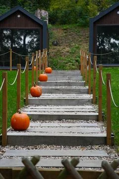 Stepped path decorated with pumpkins. Stock Photos