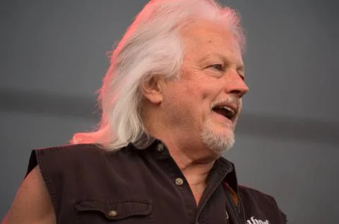 Steppenwolf Stock Photos