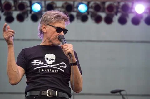 Steppenwolf Stock Photos