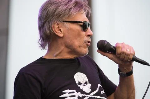 Steppenwolf Stock Photos