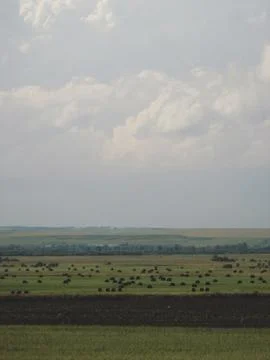 Steppes of Khakassia Stock Photos