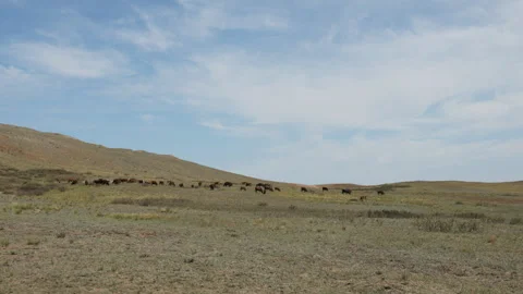 Steppes. Mountains. Stock Footage 130459655