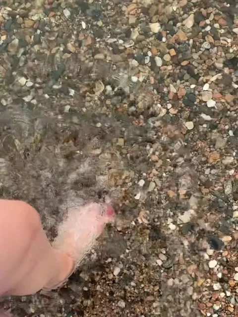 Stepping Into Clear Shallow Water with Pebbles Video stock 341317888