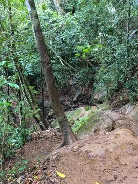 Stepping Downhill Stock Photos