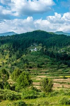 Stepping Fields in Mountains Stock Photos