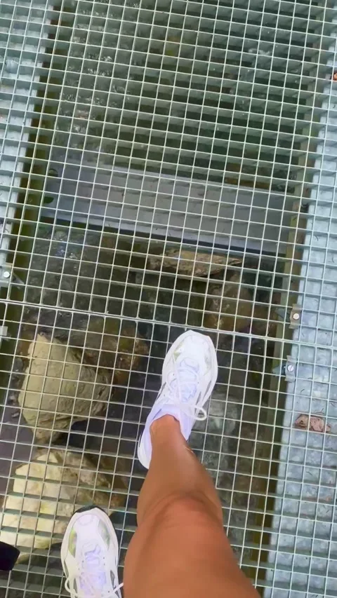 Stepping Over a Transparent Grate Bridge Video stock 313528336