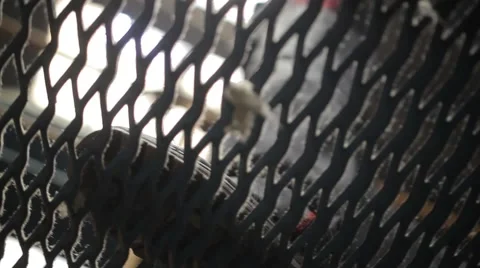 Stepping on the slatted floor Stock Footage 61773539