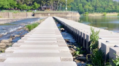A stepping-stone bridge across a stream. Miryang City, Korea Stock Footage 308539213